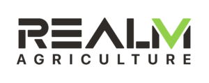 realmfive logo