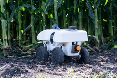 Robot on the ground of the farm