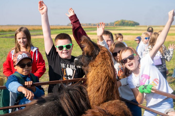 Children and a llama at Livestock Bonanza at Grand Farm.