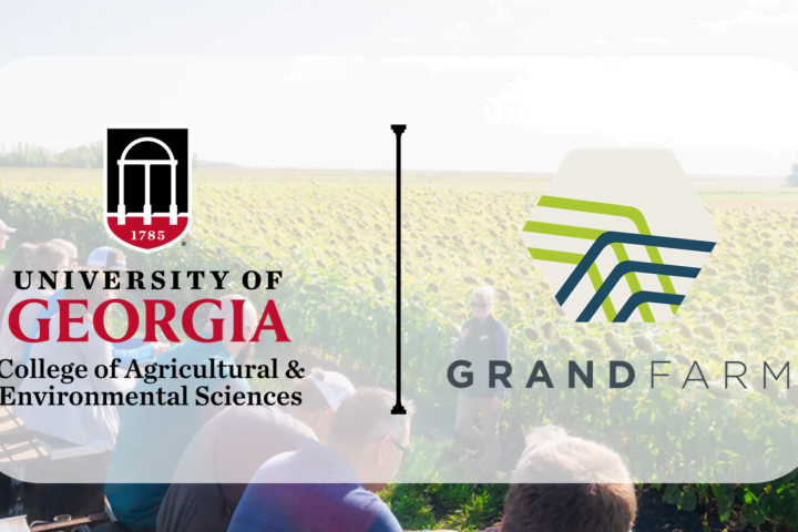 University of Georgie and Grand Farm partnership logo