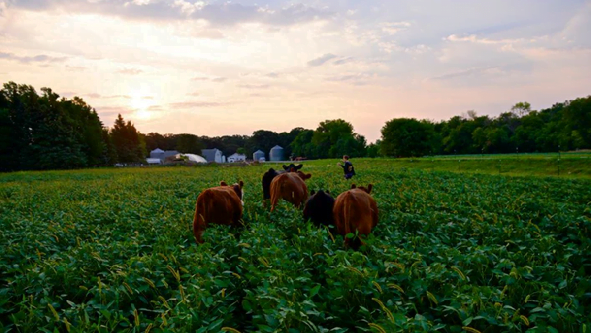 Doubting Thomas Farms