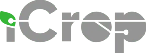 Logotipo iCrop - Cinza