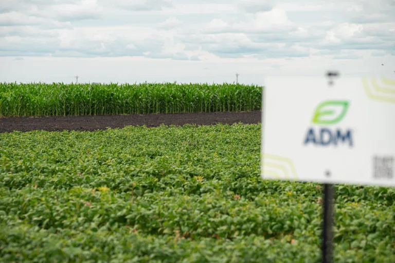 Corn field with out of focus ADM field trial sign in the forefront