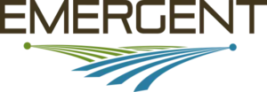 emergent